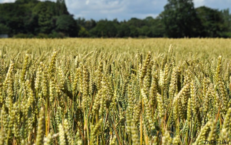 河北智飛極農(nóng)無人機(jī)科技|一鳶科技|行業(yè)定制無人機(jī)
