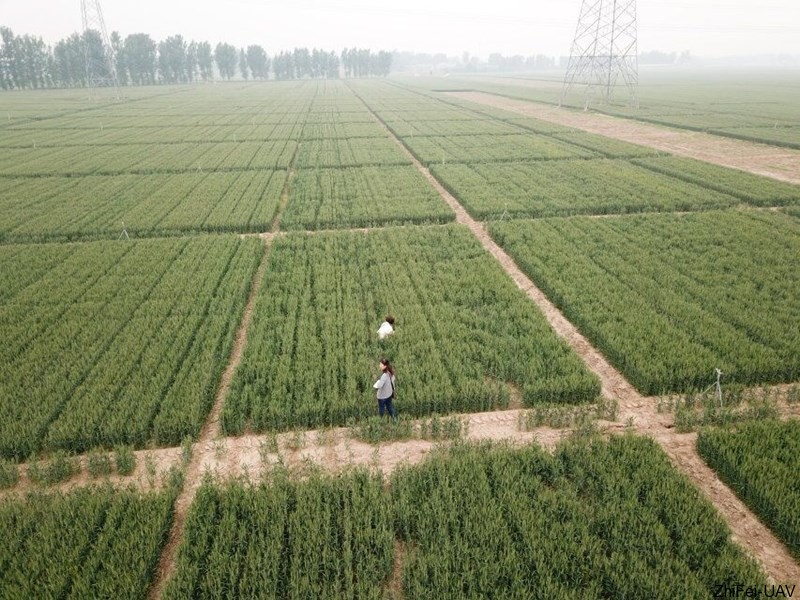 河北智飛極農無人機科技|一鳶科技|行業定制無人機